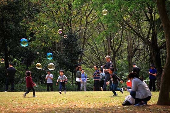 深圳笔架山公园12351