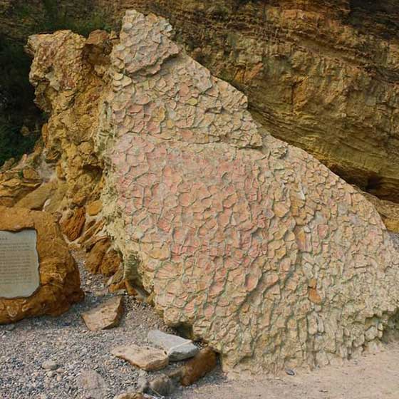 金石滩国家旅游度假区12693