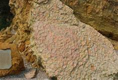 金石滩景区龟背石