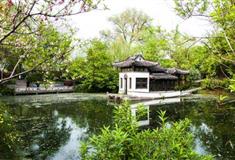 瘦西湖西园曲水有什么好看的