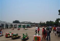 深圳海上田园碰碰车