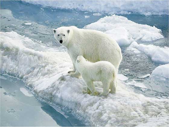 小梅沙海洋世界12376