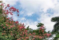 深圳笔架山公园笔峰映翠亭有什么好看的