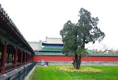 天坛公园南宰牲亭