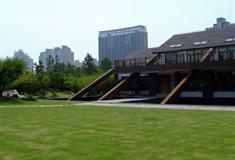 上海世纪公园疏林草坪区有什么好看的