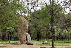 避暑山庄万树园有什么好看的