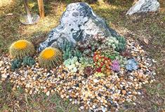 流花湖公园流花西苑有什么好看的