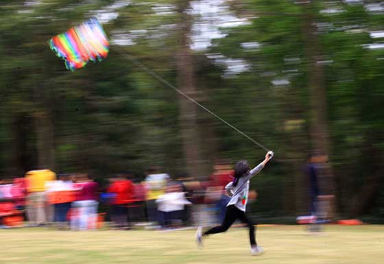 深圳笔架山公园草地滚球场