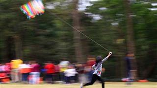 深圳笔架山公园草地滚球场 深圳笔架山公园草地滚球场