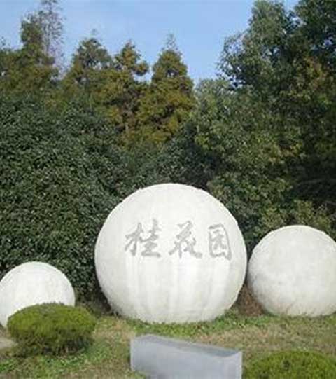 东平国家森林公园12299