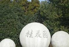 东平国家森林公园桂花园有什么好看的