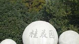 东平国家森林公园桂花园有什么好看的