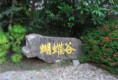 三亚亚龙湾景区蝴蝶谷