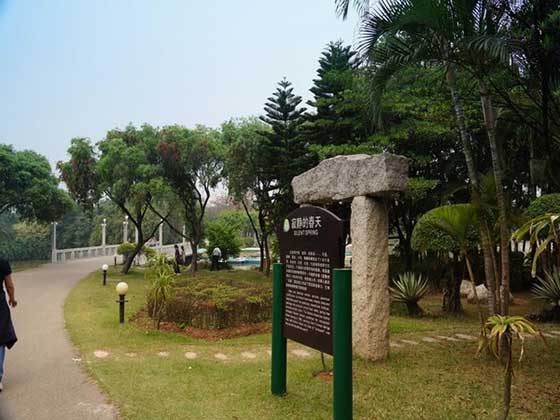 深圳海上田园寂静的春天 深圳海上田园寂静的春天