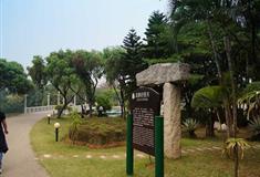 深圳海上田园寂静的春天