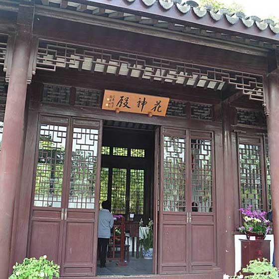 上海古猗园11901