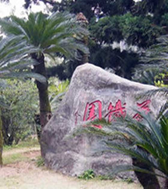 福州国家森林公园11885