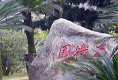 福州国家森林公园苏铁园有什么好看的