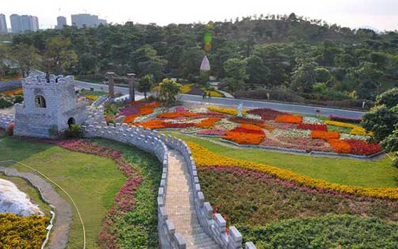 梦幻百花洲12343