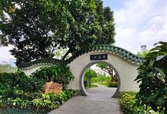 流花湖公园芙蓉洲有什么好看的