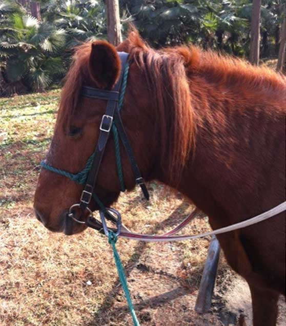 东平国家森林公园12305