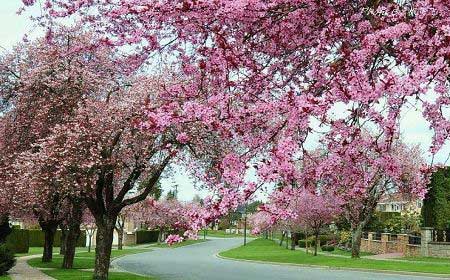 东平国家森林公园12302