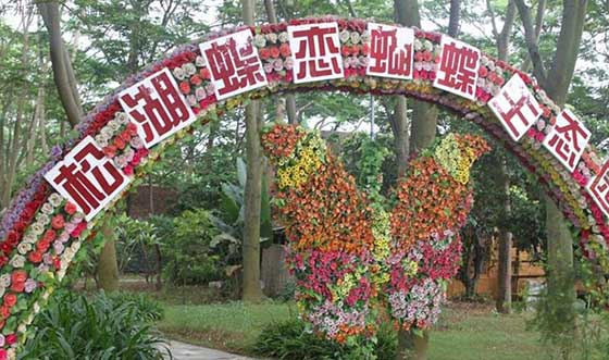 梦幻百花洲12324