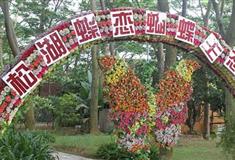 梦幻百花洲蝴蝶生态园有什么好看的