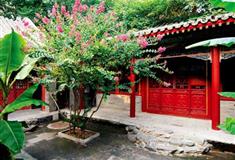 拙政园听雨轩有什么好看的