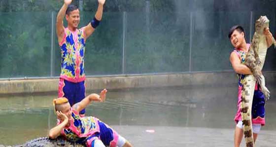 长隆飞鸟乐园12392