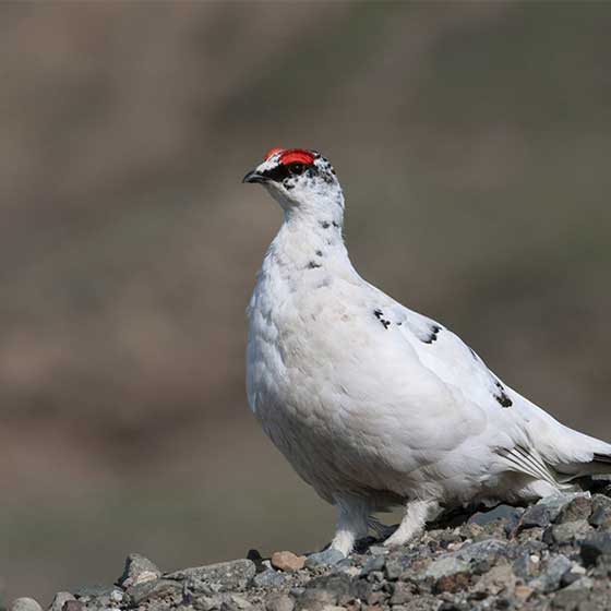 上海世纪公园12012