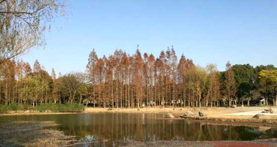 上海世纪公园12014