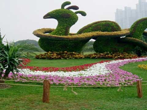 上海世纪公园春园 上海世纪公园春园