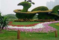 上海世纪公园春园有什么好看的