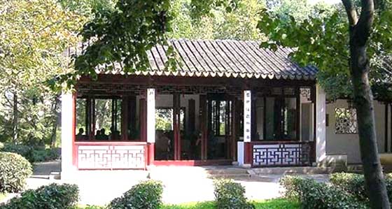 虎丘山风景区云在茶香 虎丘山风景区云在茶香