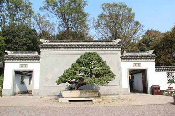 虎丘山风景区苏州盆景历史文化陈列馆 虎丘山风景区苏州盆景历史文化陈列馆