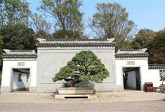 虎丘山风景区苏州盆景历史文化陈列馆