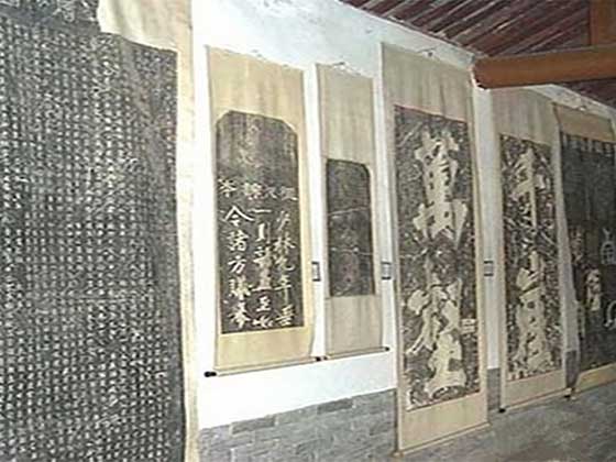 虎丘山风景区12943