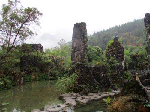 天星桥景区盆景区