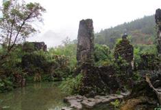 天星桥景区盆景区