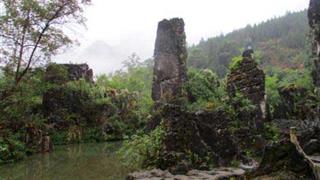 天星桥景区盆景区