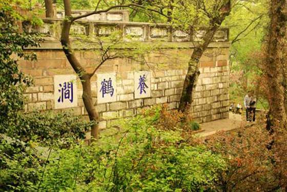 虎丘山风景区养鹤涧