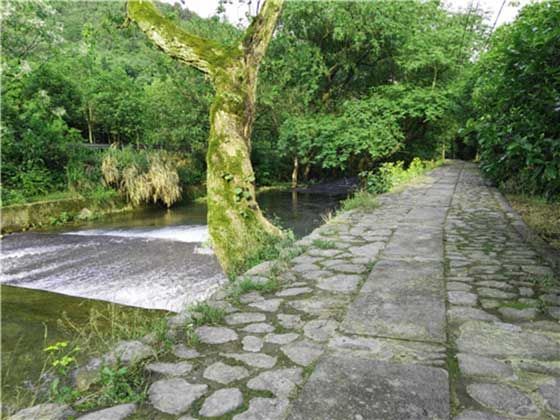 仙源湖旅游度假区上干口游步道