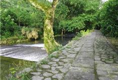 仙源湖旅游度假区上干口游步道