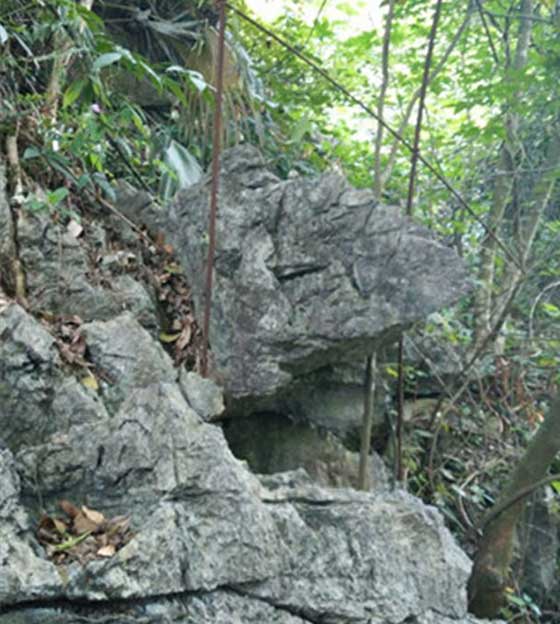 天籁·蝴蝶泉14082