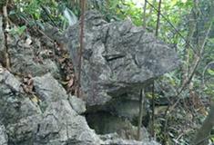 天籁蝴蝶泉鳄鱼石