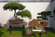 瑶琳仙境妙峯苑