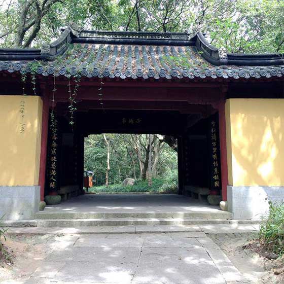 普陀山风景名胜区13376