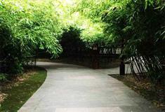 大唐芙蓉园竹里馆