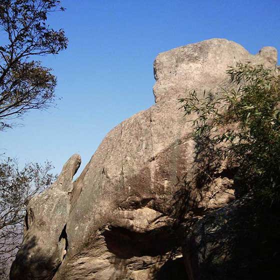 普陀山风景名胜区13374